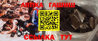 сатива Славгород