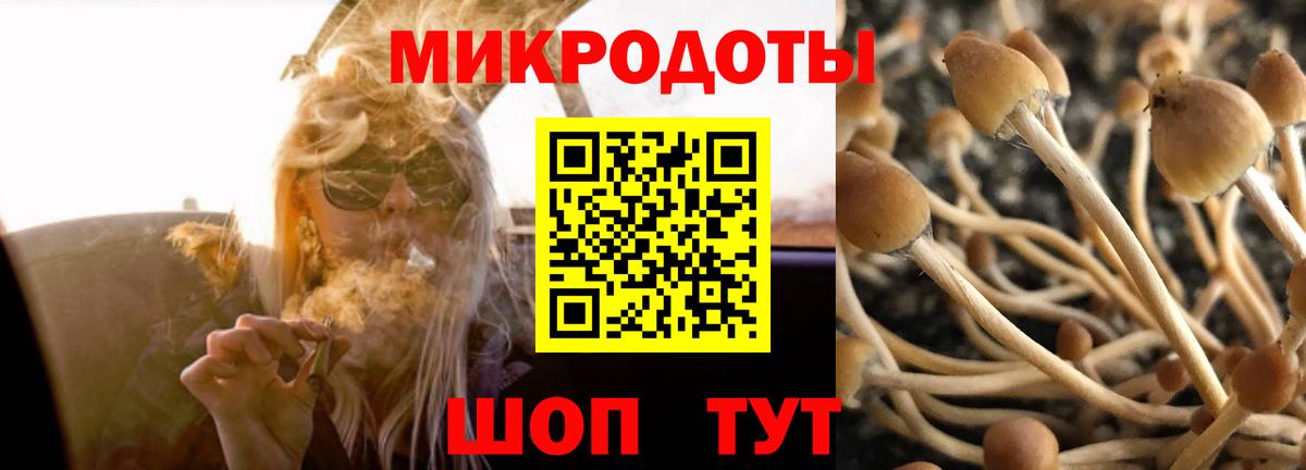 Славянск-на-Кубани  Псилоцибиновые грибы ЛСД  Вход с VPN 